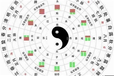 五行多水|五行多水的人是什么命 八字中有几个水是最好